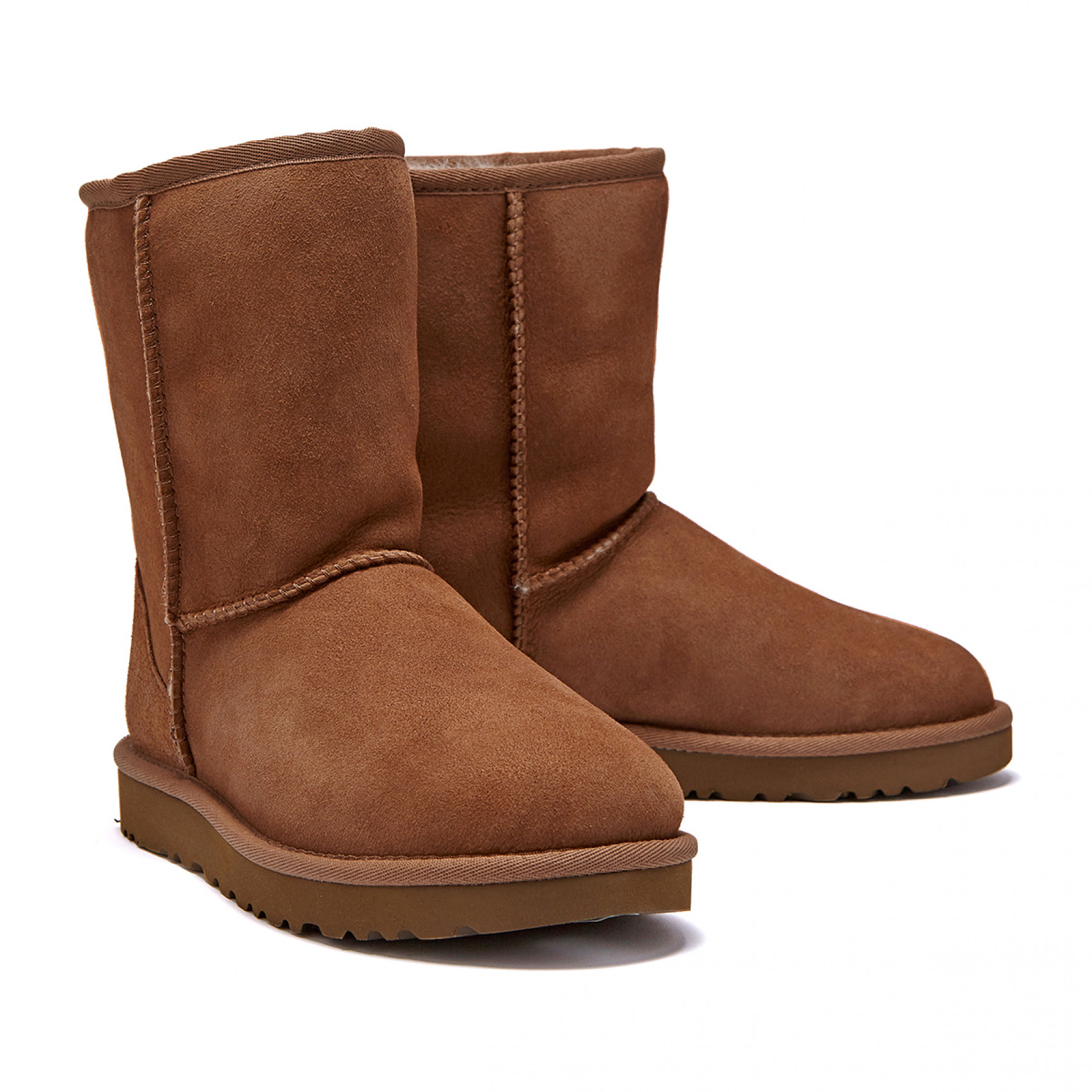 클래식 쇼츠 II 부츠 체스트넛 / 1016223-CHE