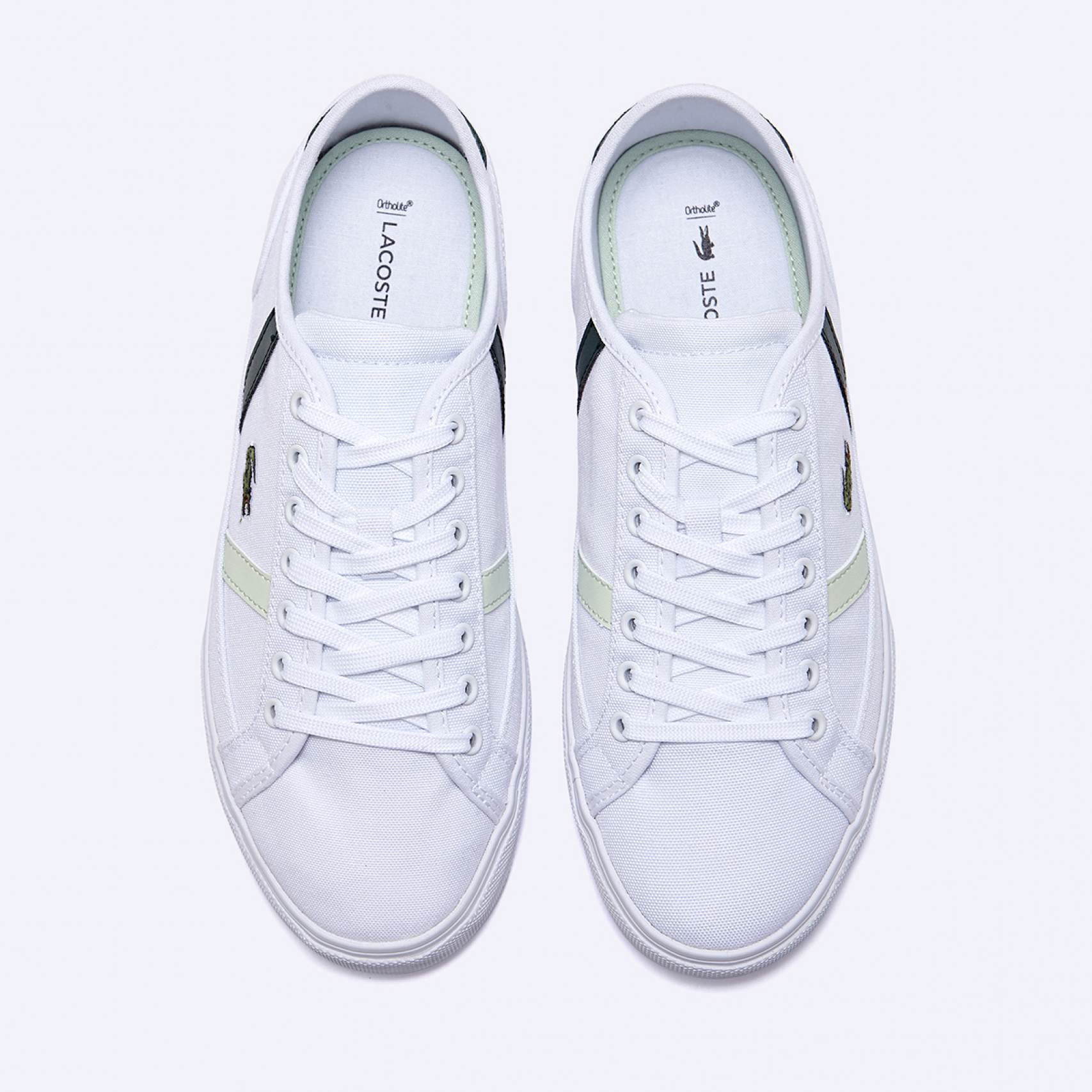 사이드라인 프로 222 / 744CMA0040