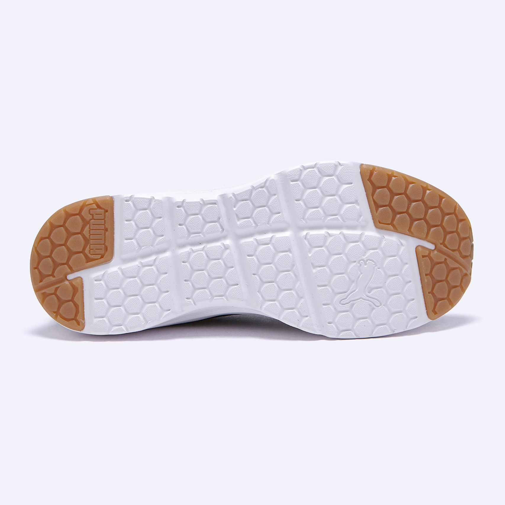 FTR 커넥트 FS / 37818503