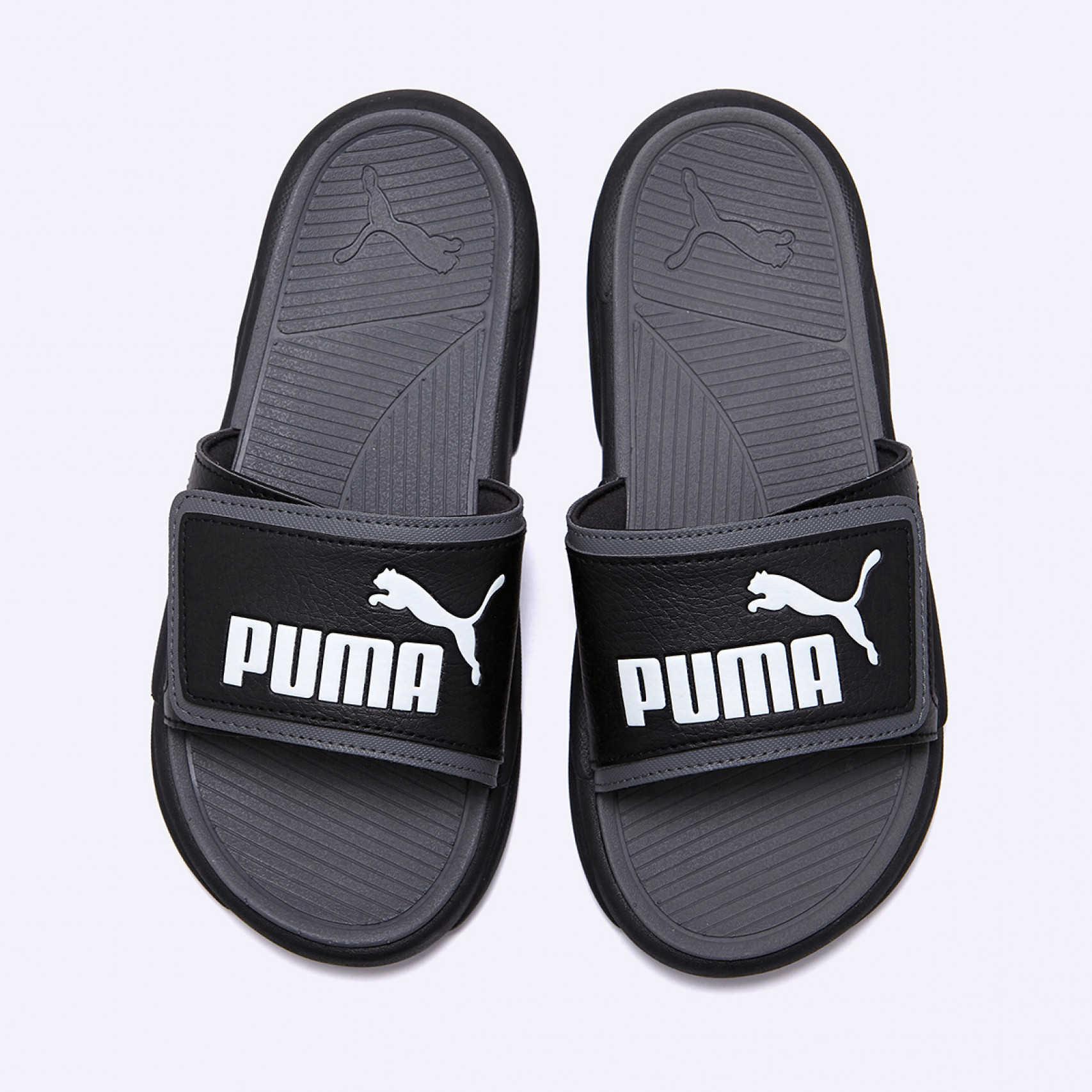 로얄캣 컴포트 / 37228001