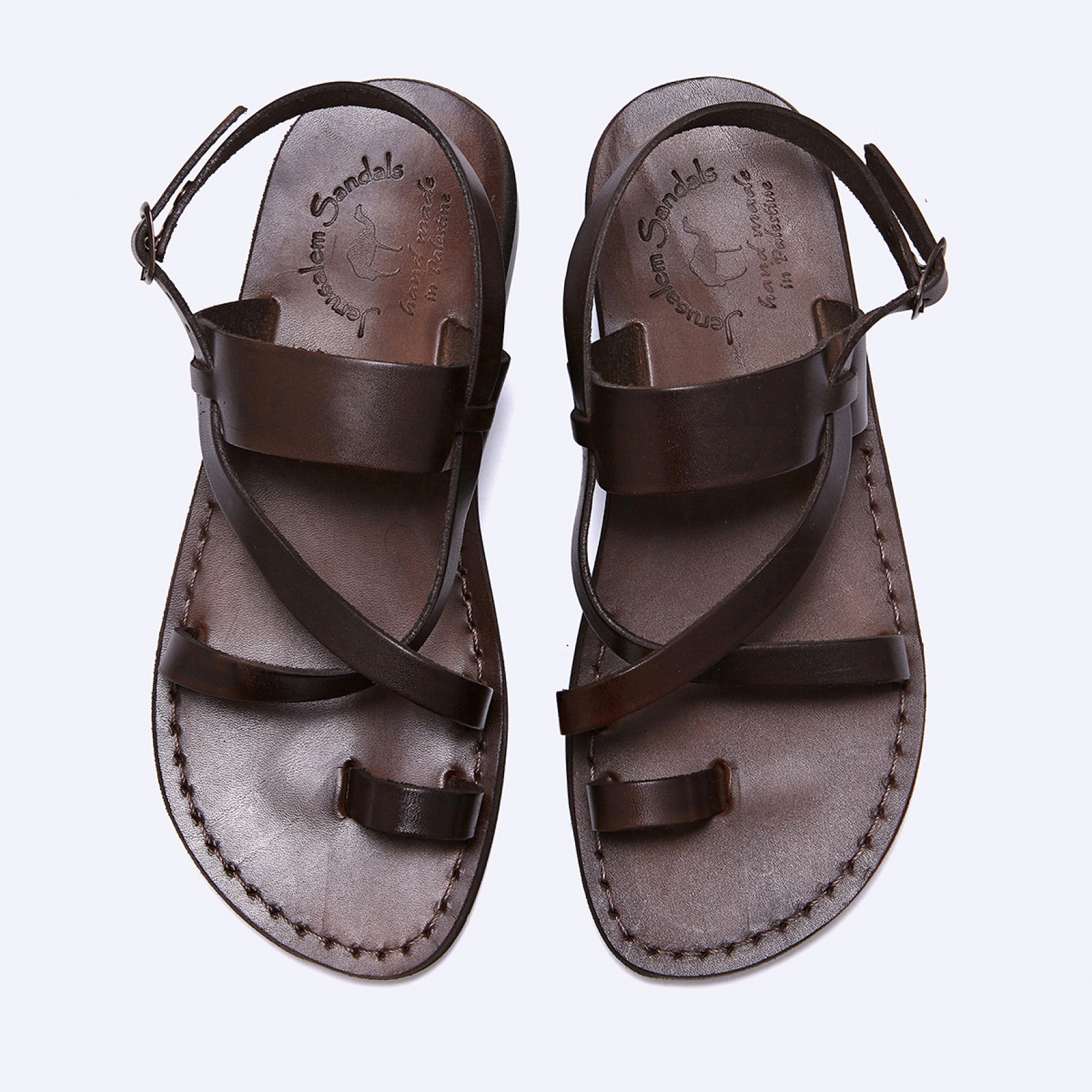 베타니 브라운 / NO.519