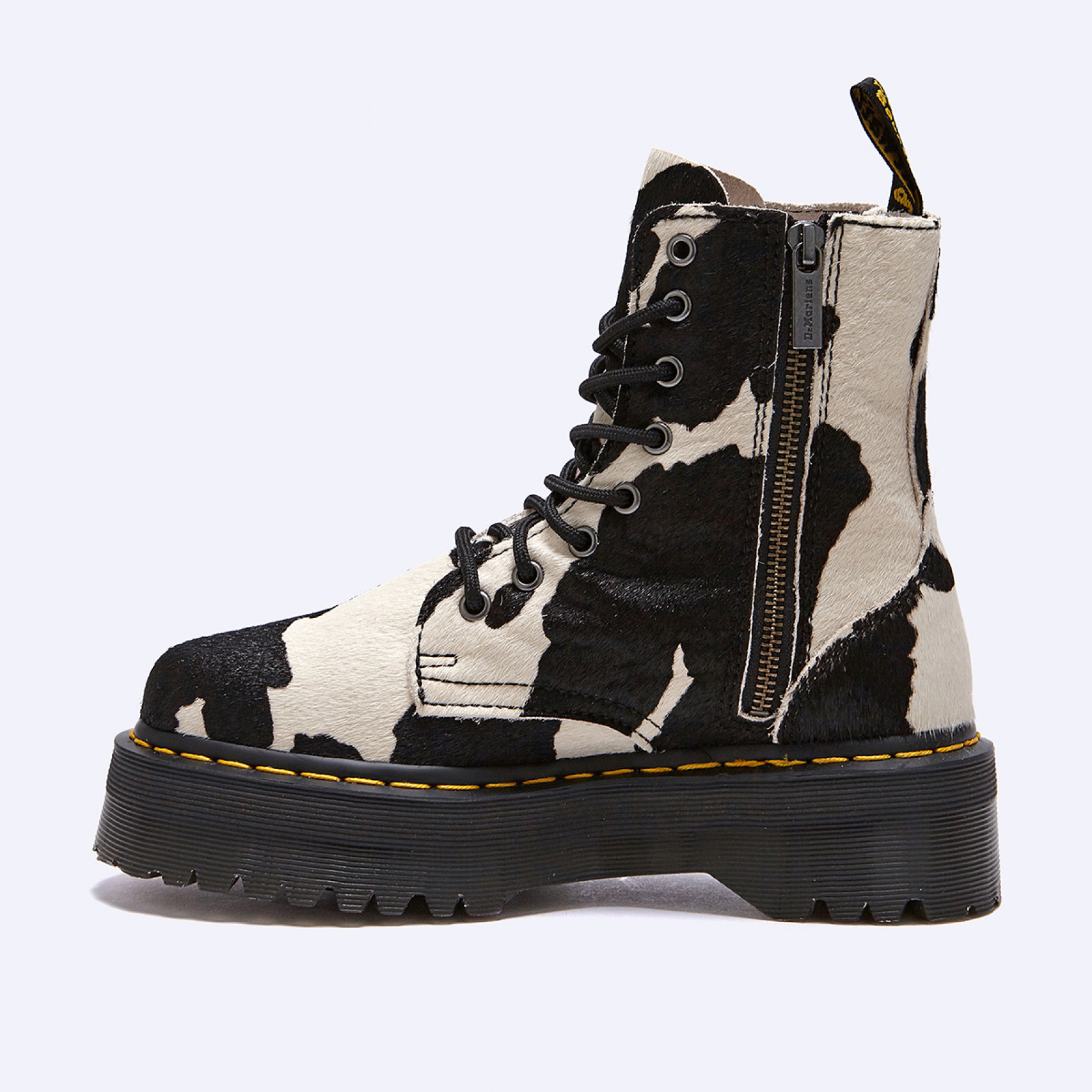 제이든 카우 프린트 / 31094934