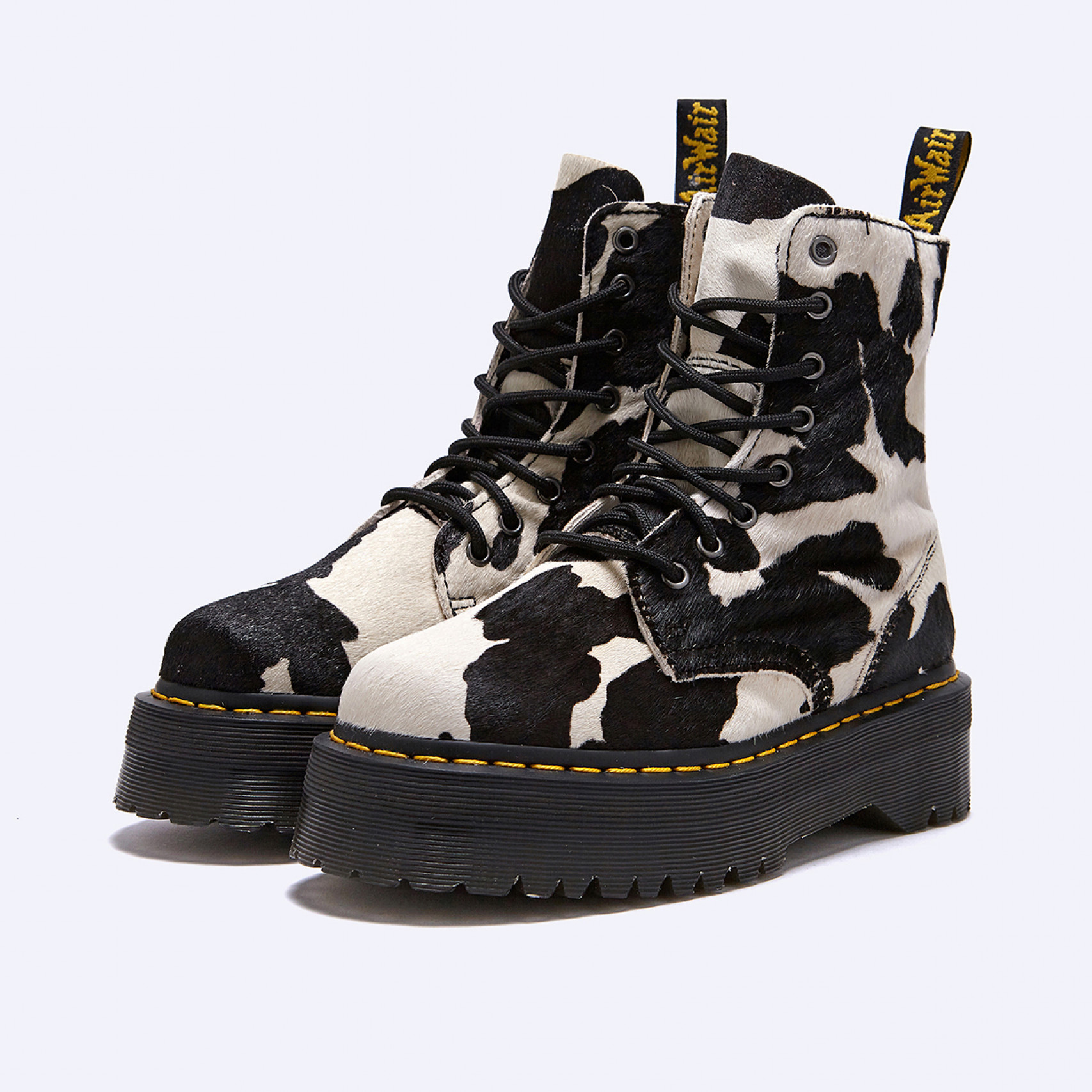 제이든 카우 프린트 / 31094934