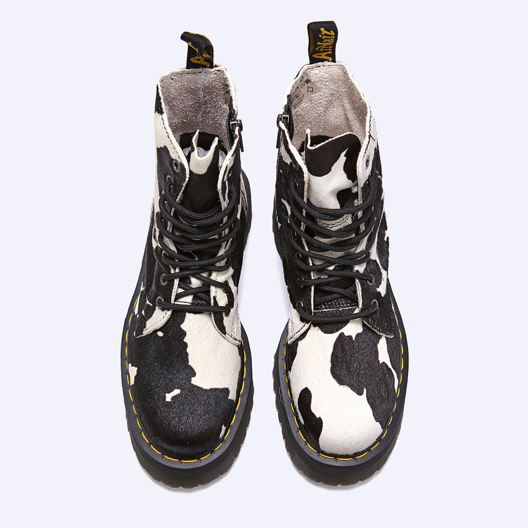 제이든 카우 프린트 / 31094934