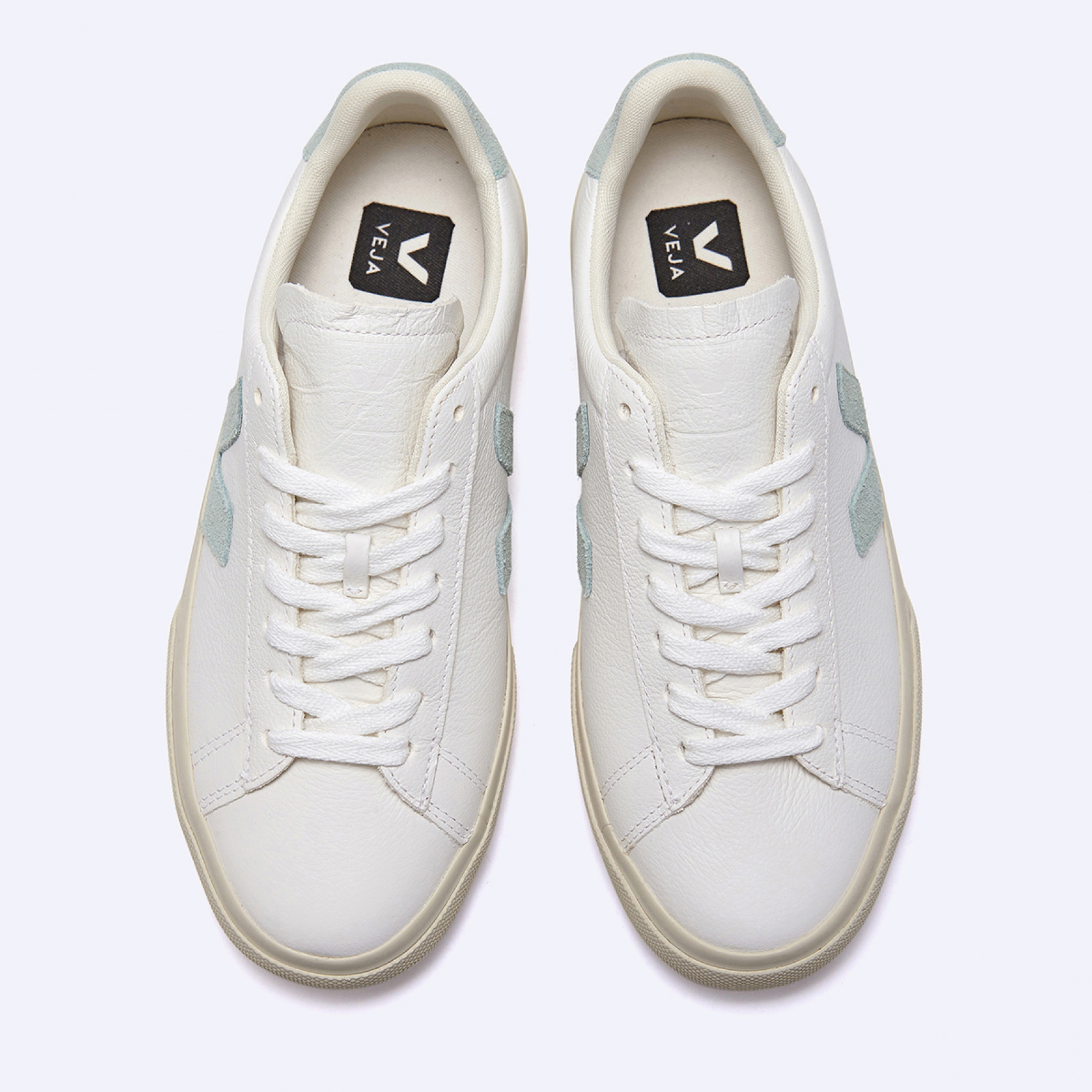 캄포 W 화이트 말차 / CP0502485