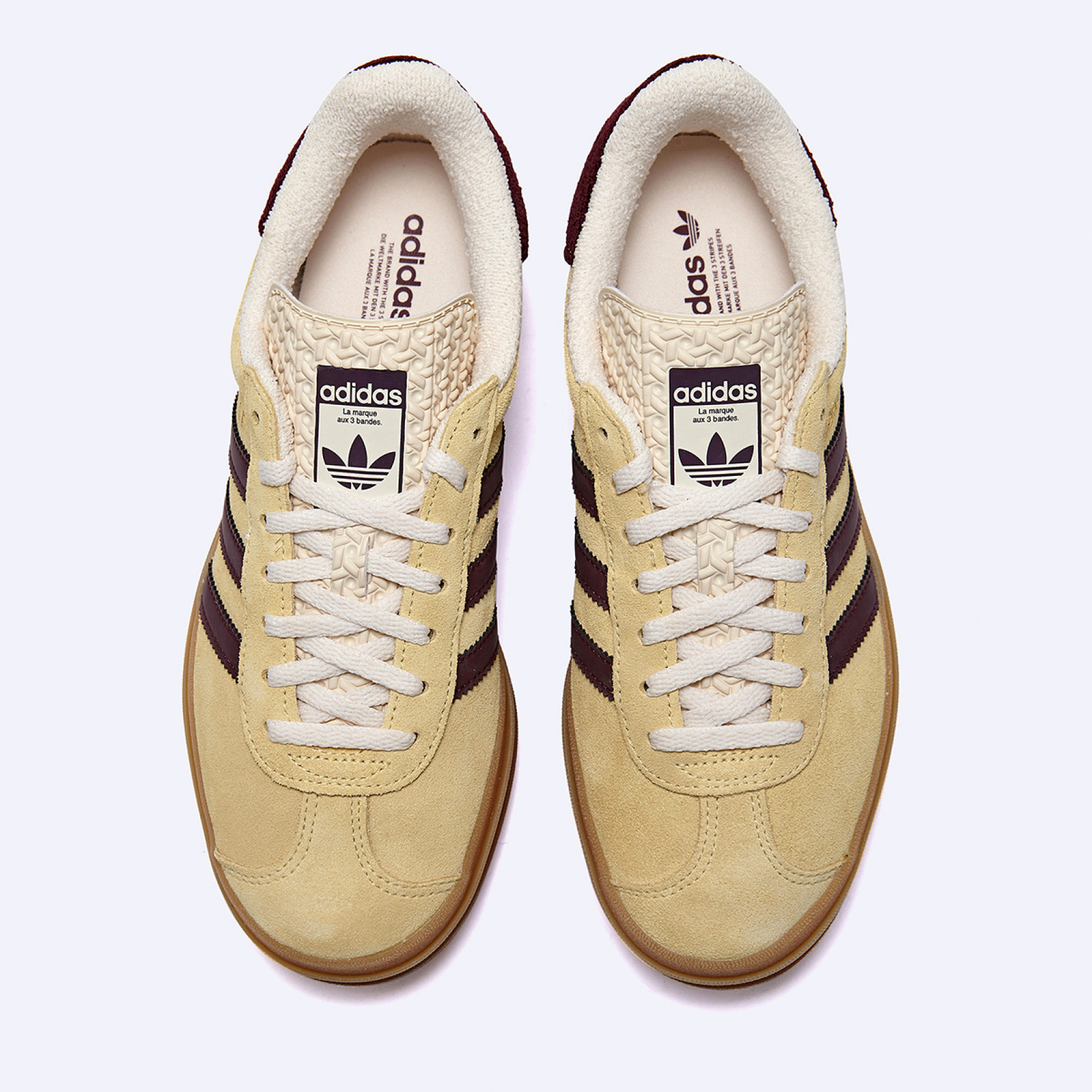 가젤 볼드 옐로우 올모스트 옐로우 마룬 / IF5937