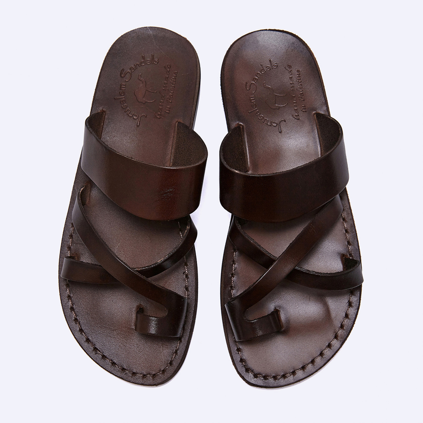 셰퍼드 브라운 / NO.8