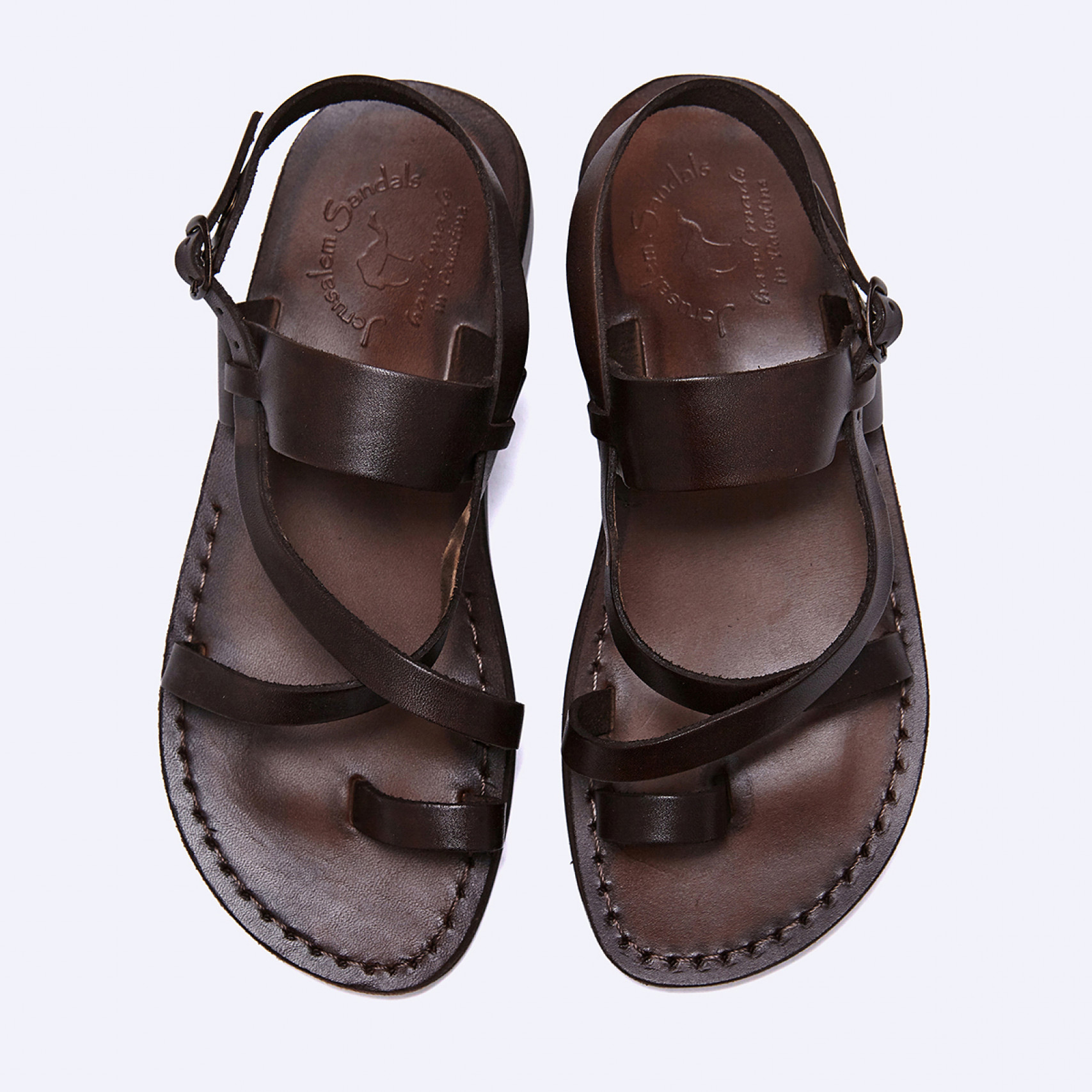 베타니 브라운 / NO.519