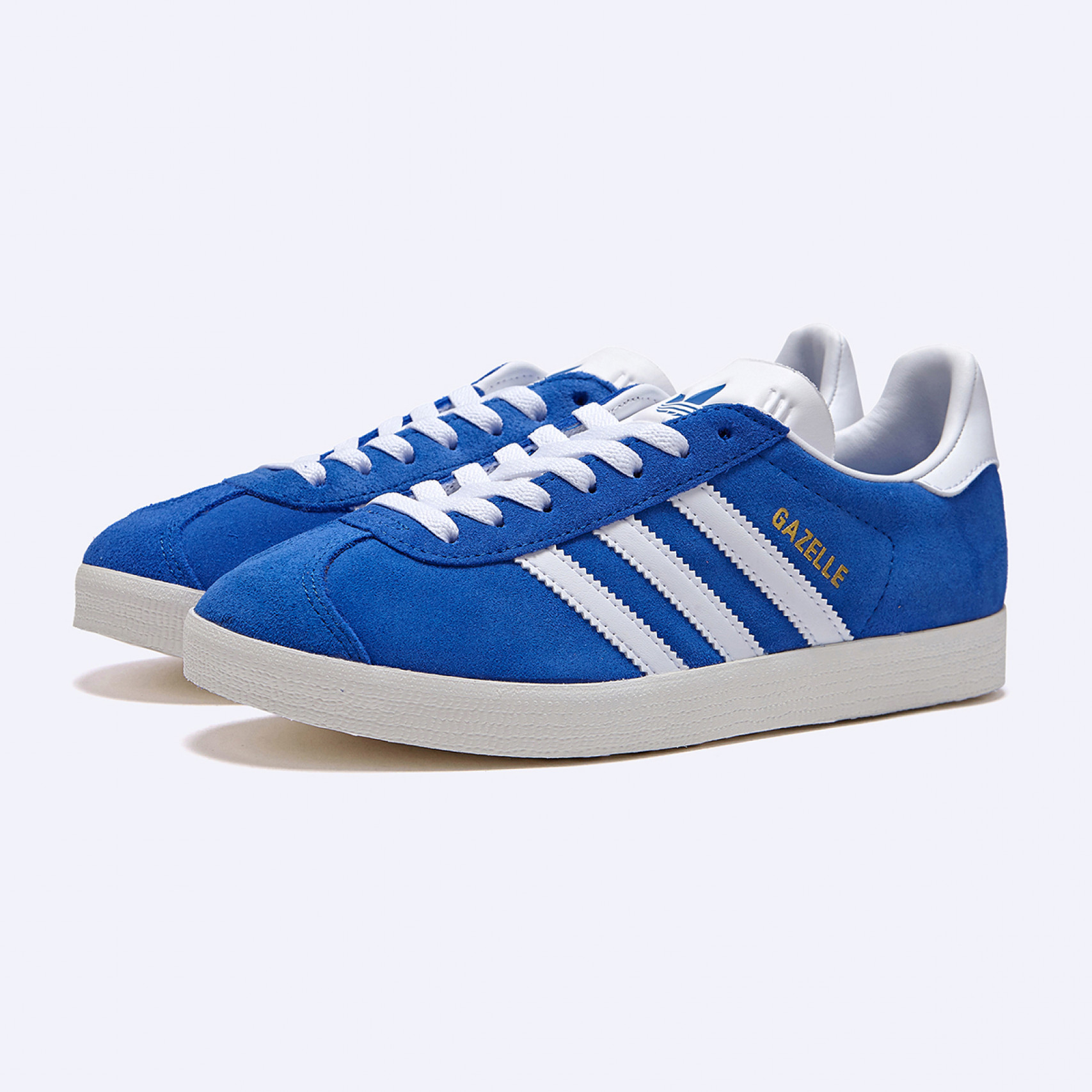 가젤 블루 / IG2093