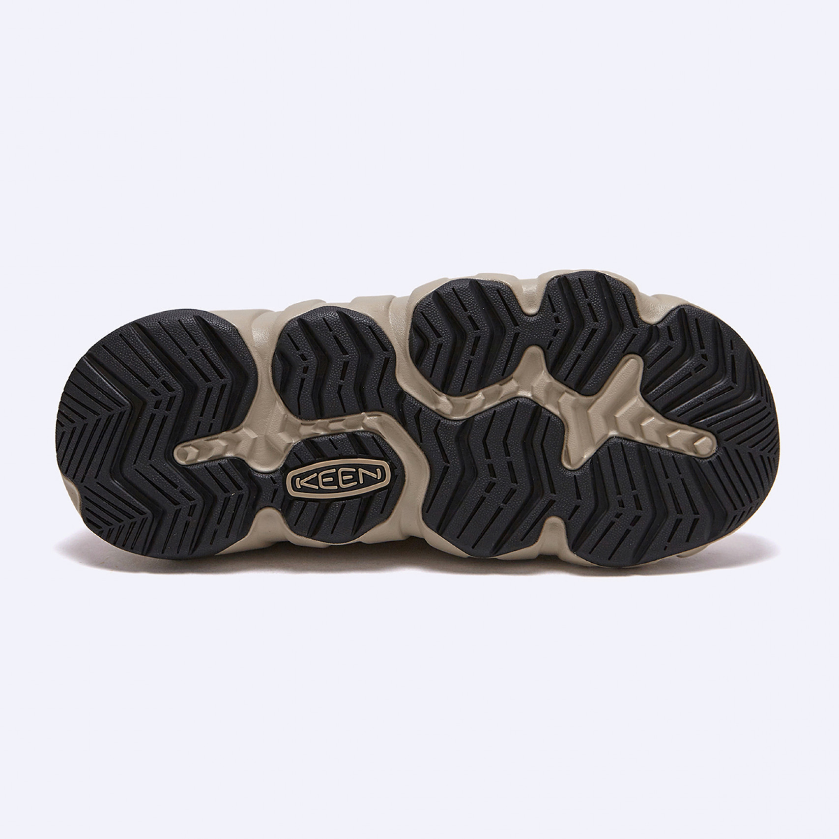 하이파우저 랩 사파리 / 1029534