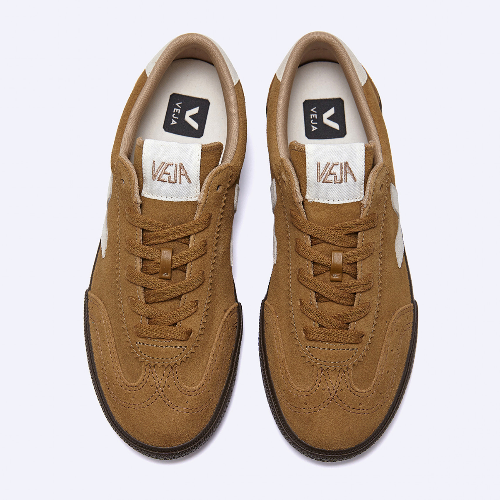 볼리 브라운 / VO0303724