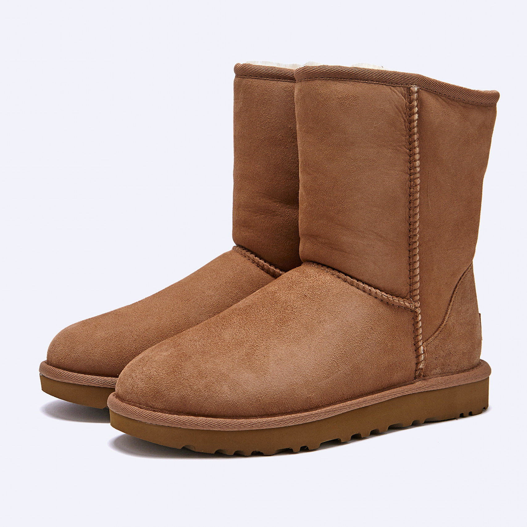 (35% 쿠폰) 클래식 쇼트 II 체스트넛 여성 / 1016223-CHE