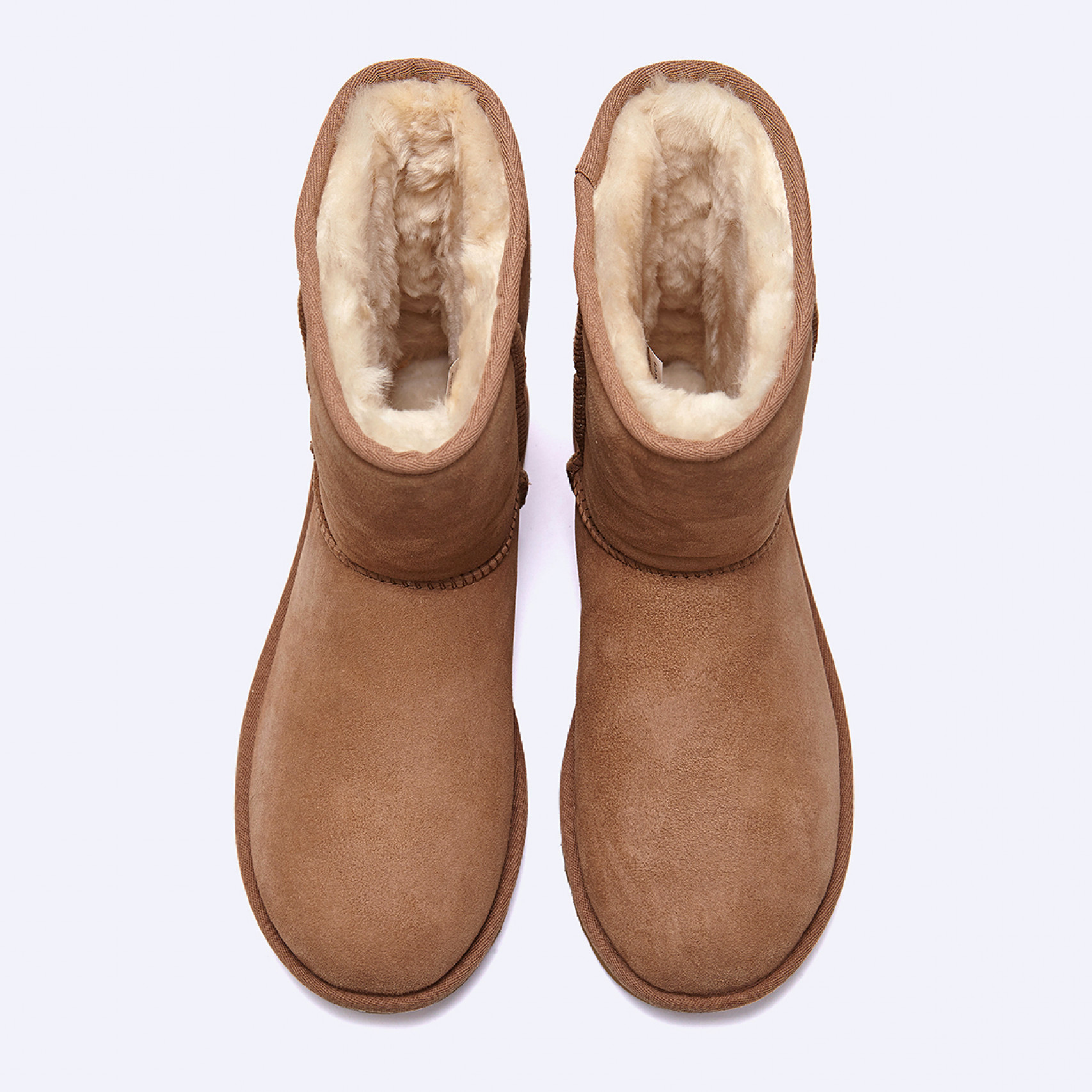 (35% 쿠폰) 클래식 쇼트 II 체스트넛 여성 / 1016223-CHE