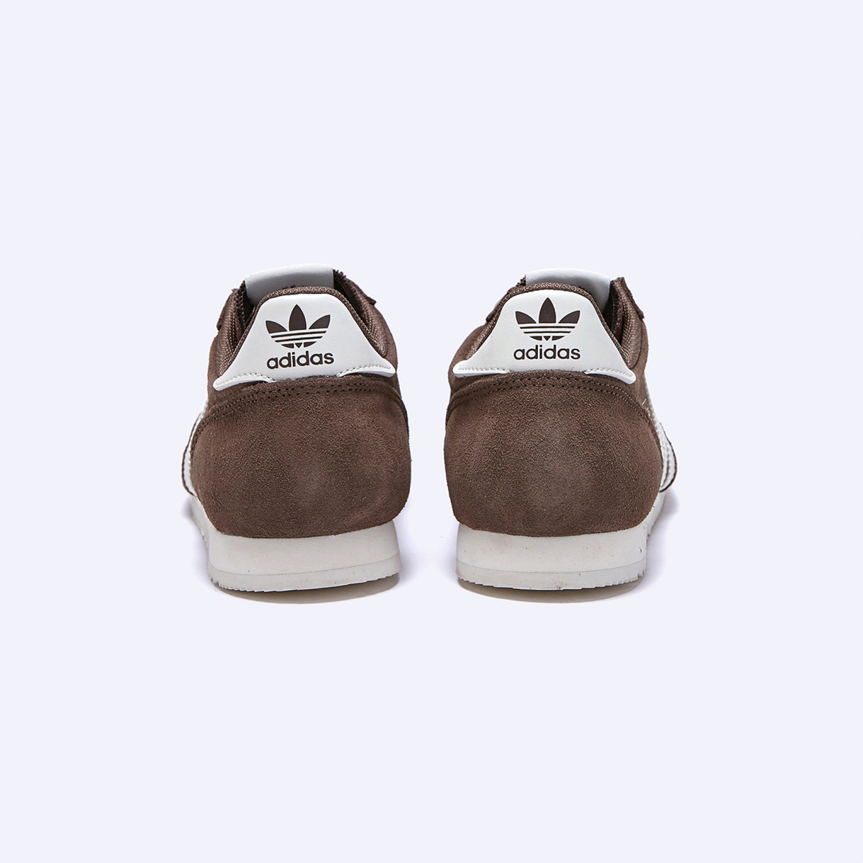 R71 브라운 / JR6510