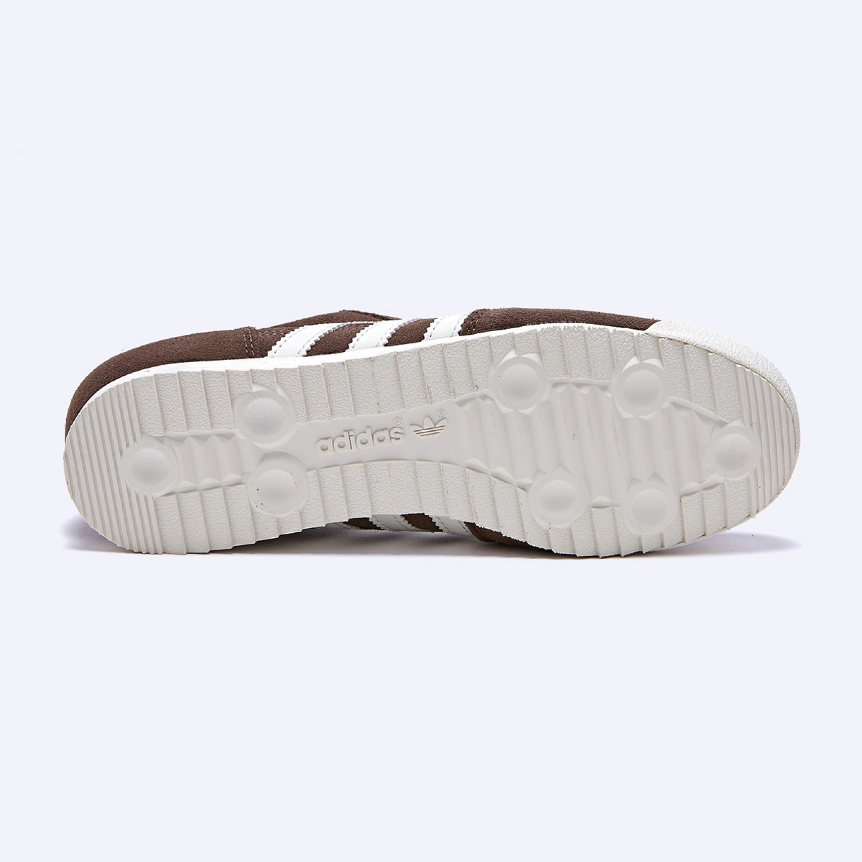 R71 브라운 / JR6510