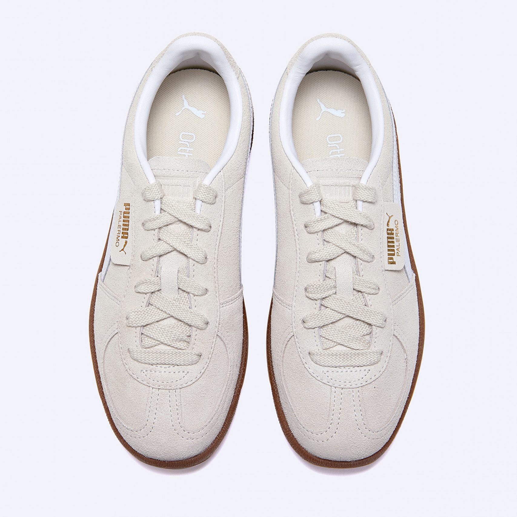 팔레르모 알파인 스노우 화이트 / 39646311