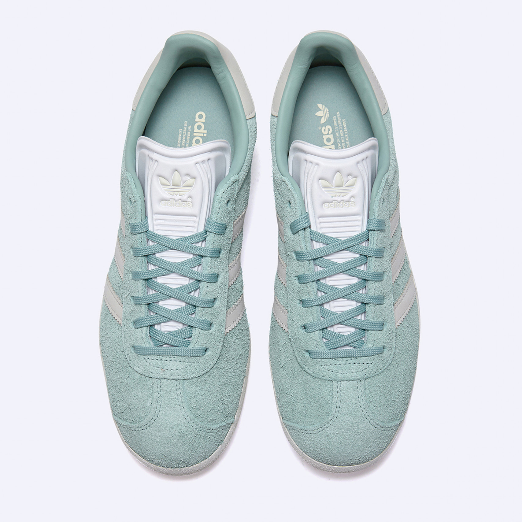 가젤 헤이즈 그린 / IG4393