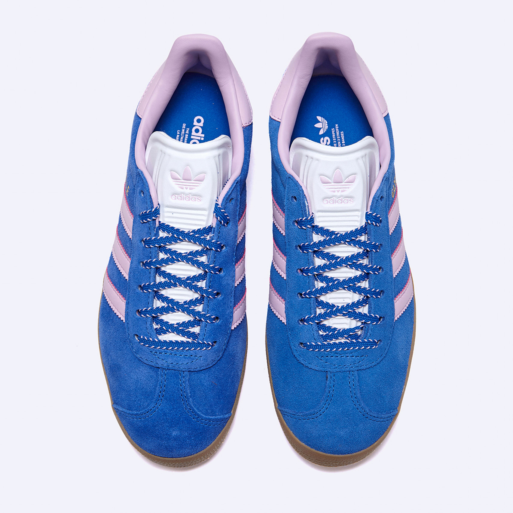 가젤 블루 여성 / JH7219