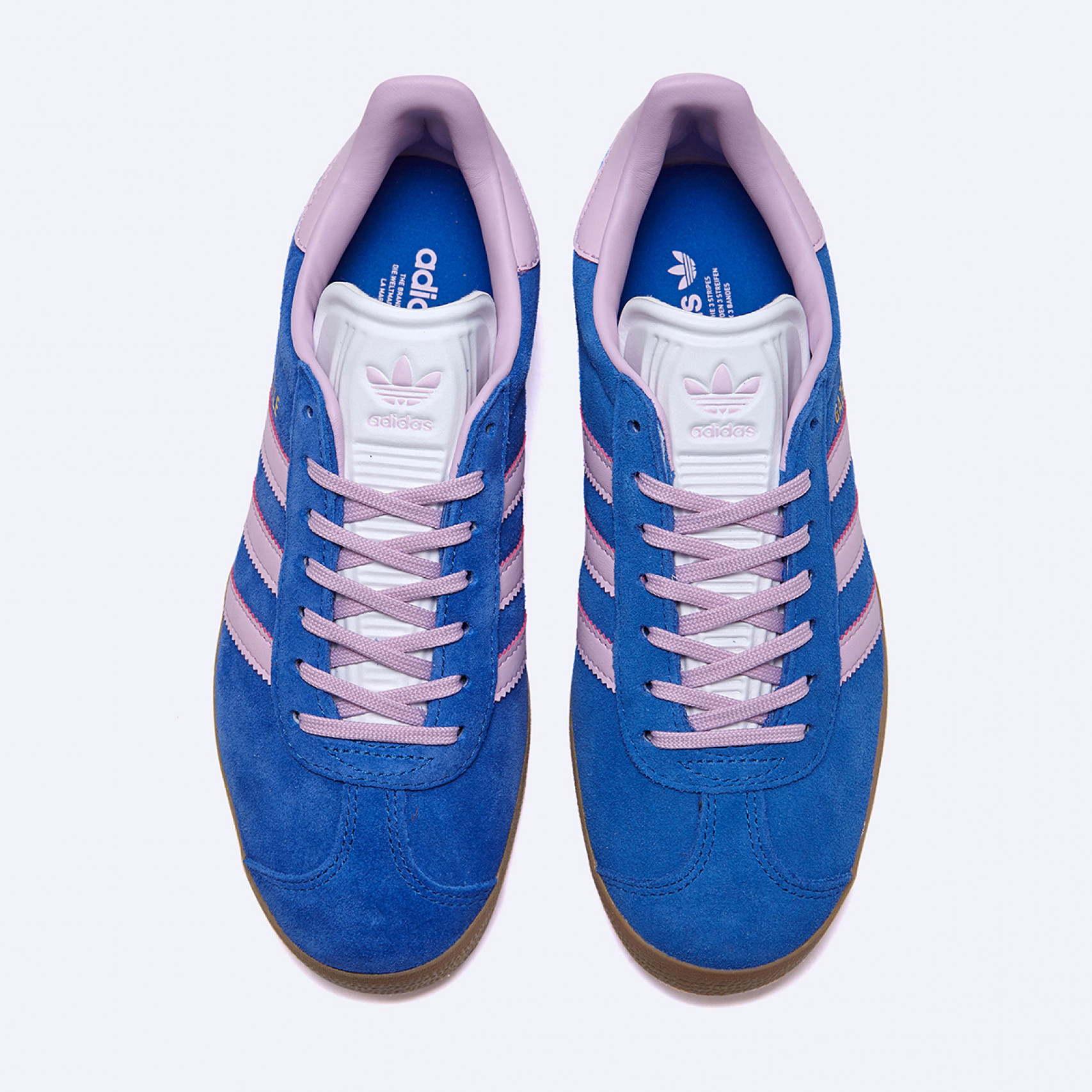 가젤 블루 여성 / JH7219