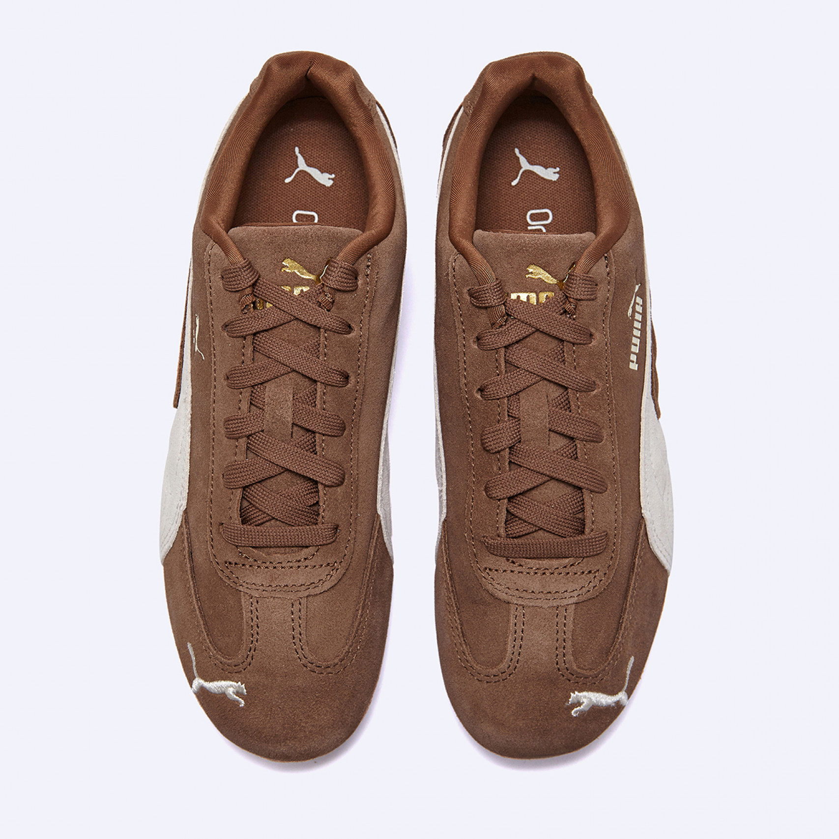 스피드캣 OG 하우트커피 / 39884631