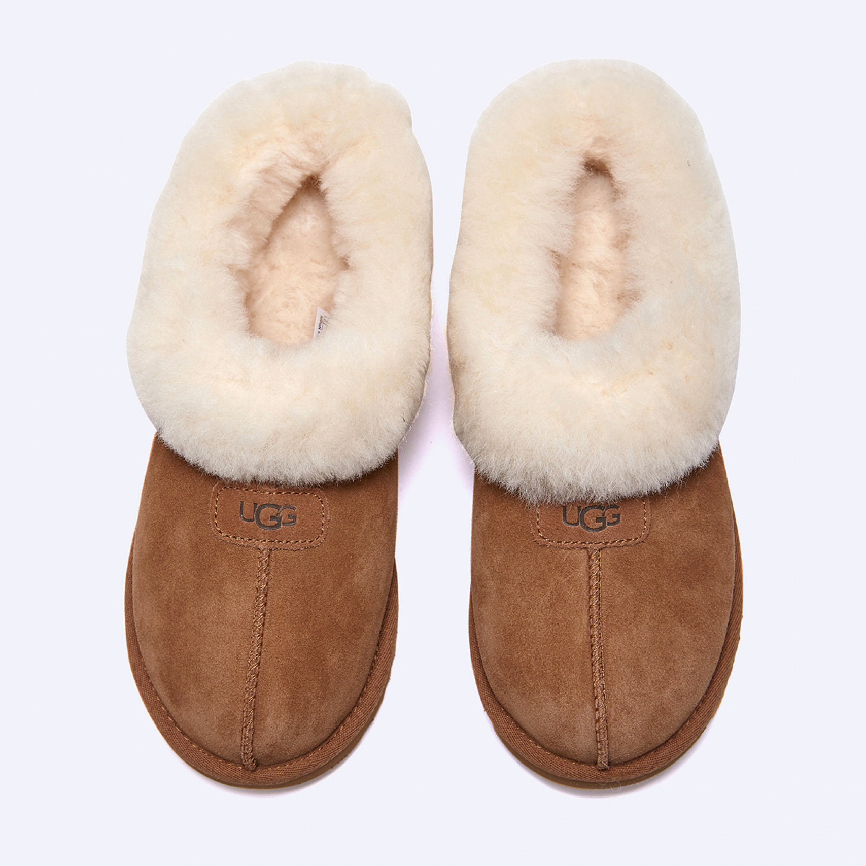 (30% 쿠폰) 타제트 양털 슬리퍼 체스트넛 여성 / 1134810-CHE