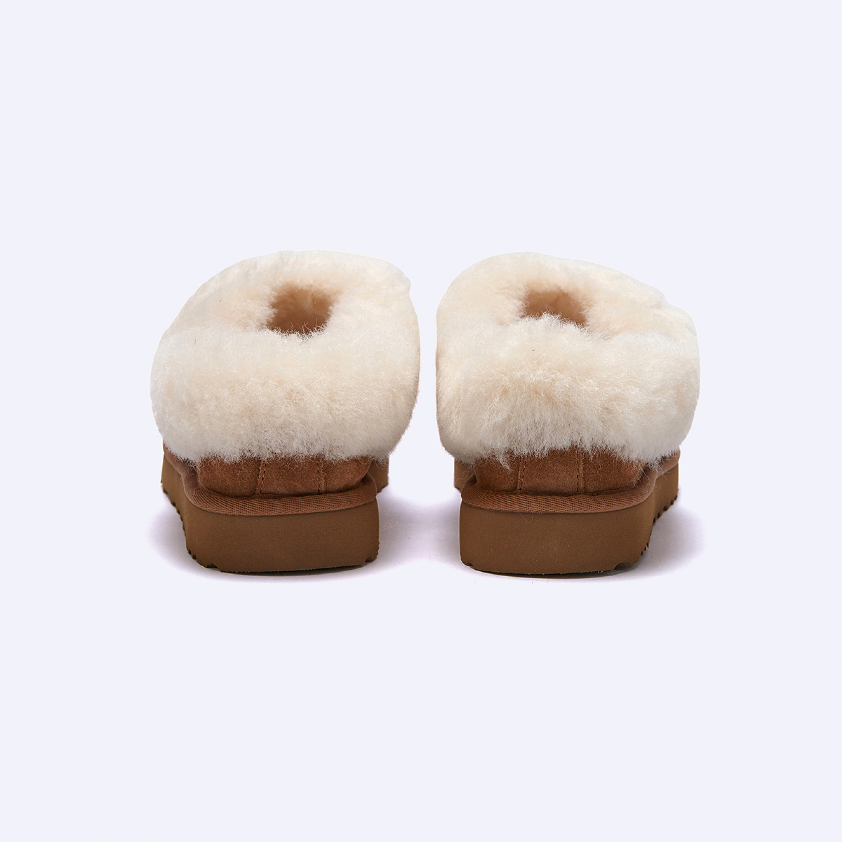 (35% 쿠폰) 타제트 양털 슬리퍼 체스트넛 여성 / 1134810-CHE