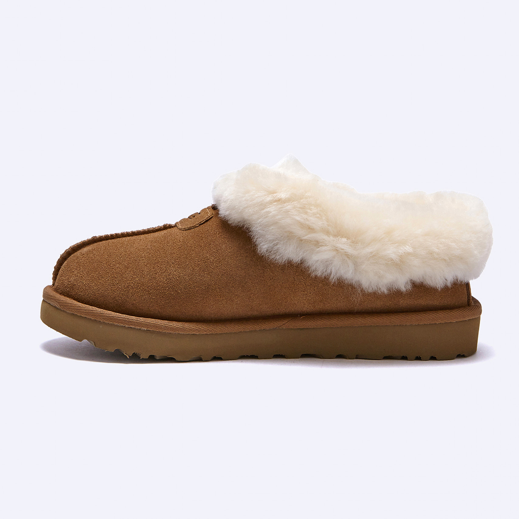 (35% 쿠폰) 타제트 양털 슬리퍼 체스트넛 여성 / 1134810-CHE