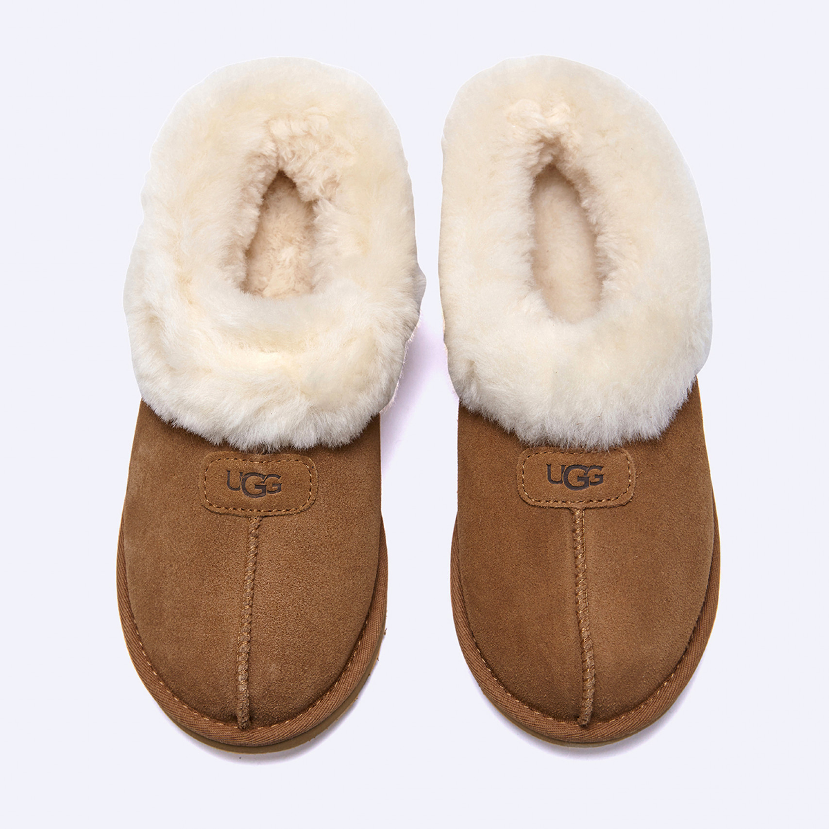 (35% 쿠폰) 타제트 양털 슬리퍼 체스트넛 여성 / 1134810-CHE