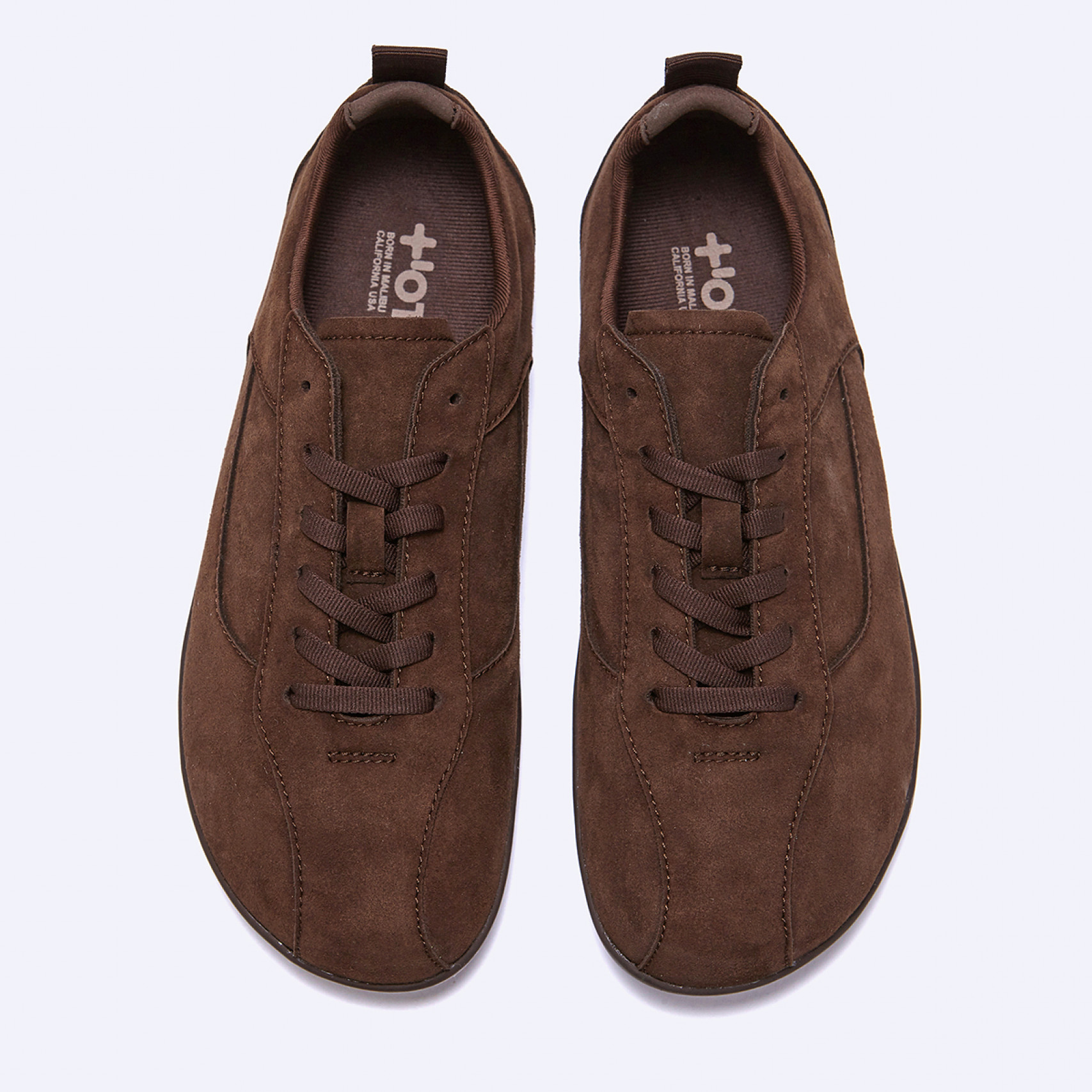 (1/30 예약발송) 툴레아 플랫 스니커즈 스웨이드 브라운 / FLOTGA1W22