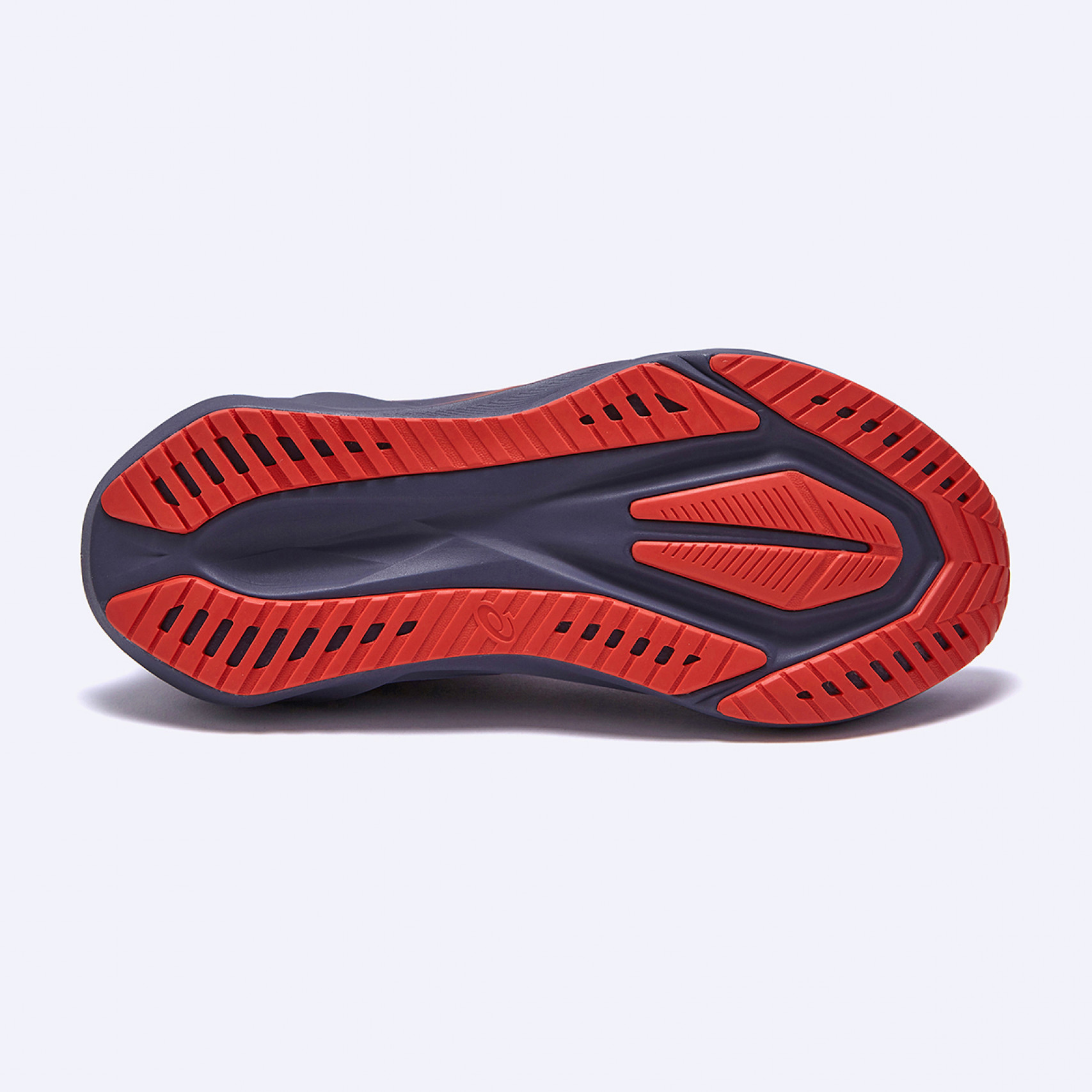 노바블라스트5 그레이시 퍼플 코랄 리프 (남성D) / 1011B974-500