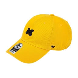 47 X FOLDER_MICHIGAN UNIVERSITY