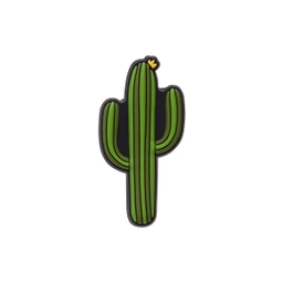 선인장  / 10007127