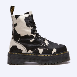 제이든 카우 프린트 / 31094934