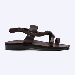 베타니 브라운 / NO.519