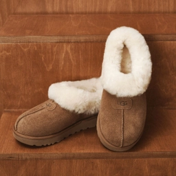 (35% 쿠폰) 타제트 양털 슬리퍼 체스트넛 여성 / 1134810-CHE